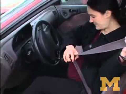 Seat Belt Pregnancy